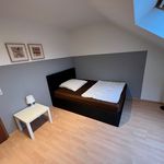 Miete 1 Schlafzimmer wohnung von 24 m² in Mannheim