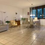 Rent 2 bedroom apartment of 83 m² in Collina d'Oro