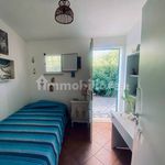 Rent 4 bedroom house of 130 m² in Ostuni