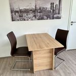 Rent 3 bedroom apartment of 37 m² in Munich