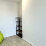 Rent 2 bedroom apartment of 57 m² in Chemnitz