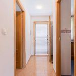 Rent 2 bedroom apartment of 66 m² in Alginet