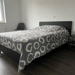 Rent 2 bedroom apartment in Wingene