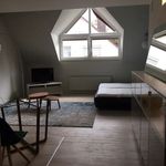 Miete 1 Schlafzimmer wohnung von 40 m² in Neu-Isenburg