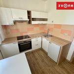 Rent 1 bedroom apartment of 35 m² in Zlín