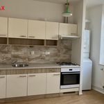 Rent 1 bedroom apartment of 33 m² in Chomutov
