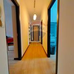 Affitto 4 camera appartamento di 95 m² in Perugia
