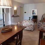 Rent 3 bedroom apartment of 80 m² in Camaiore