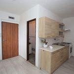 Rent 1 bedroom apartment of 34 m² in Mezibori
