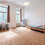 Rent 1 bedroom apartment of 838 m² in Brno