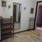 Rent 2 bedroom apartment of 100 m² in Padova