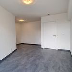 Flat to rent : Moorselstraat 242 A 12, 3080 Tervuren on Realo