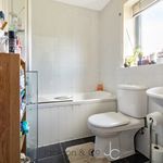 Rent 1 bedroom house in Colchester