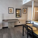 Rent 1 bedroom apartment of 732 m² in Miami Beach