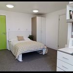 Rent 1 bedroom student apartment of 18 m² in Norwich