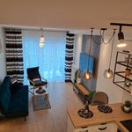 Rent 2 bedroom apartment of 45 m² in Łódź
