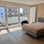 Rent 1 bedroom apartment in Frankfurt
