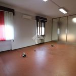 Affitto 3 camera appartamento di 220 m² in Mantova