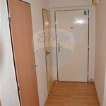 Rent 1 bedroom apartment of 32 m² in Pilsen