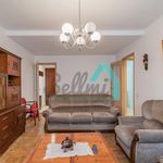 Rent 3 bedroom apartment of 83 m² in Oviedo