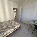 Affitto 2 camera casa di 47 m² in Torino