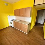 Rent 1 bedroom apartment of 51 m² in Jirkov