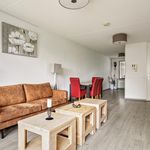 Rent 2 bedroom apartment of 83 m² in Sint-Maartensdijk