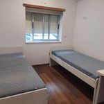Rent 3 bedroom apartment in Santa Clara