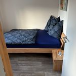 Rent 2 bedroom apartment of 36 m² in Albstadt