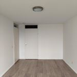 Rent a room of 157 m² in Venlo