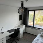 Rent 1 bedroom apartment of 150 m² in Heiloo