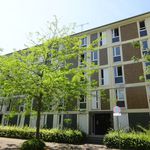 Rent 3 bedroom apartment of 71 m² in Reims