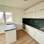 Rent 3 bedroom apartment of 80 m² in Plzeň