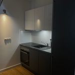 Rent 2 bedroom apartment of 54 m² in Leipzig