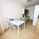 Rent 1 bedroom apartment of 65 m² in Brno