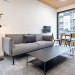 Rent a room of 57 m² in berlin