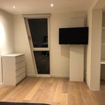 Rent 2 bedroom apartment of 125 m² in Rotterdam