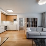 Rent 2 bedroom apartment of 71 m² in Praha