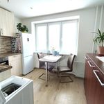 Rent 1 bedroom apartment of 30 m² in Číhošť