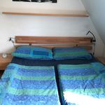 Rent 1 bedroom apartment of 56 m² in Nuremberg