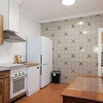Rent 3 bedroom apartment of 135 m² in Cadiz