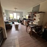 Rent 2 bedroom apartment of 48 m² in Brno