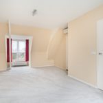 Rent 4 bedroom apartment of 252 m² in 's-Gravenhage