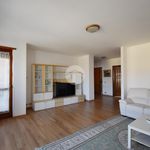Affitto 5 camera appartamento di 121 m² in Ivrea