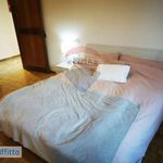 Rent 6 bedroom apartment of 120 m² in Bologna