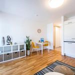 Miete 1 Schlafzimmer wohnung von 24 m² in Graz
