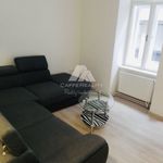 Rent 2 bedroom apartment of 43 m² in Ostrava