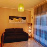 Affitto 1 camera appartamento di 65 m² in Anagni