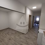 Rent 3 bedroom apartment of 69 m² in Číhošť