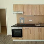 Rent 3 bedroom apartment in Pilsen